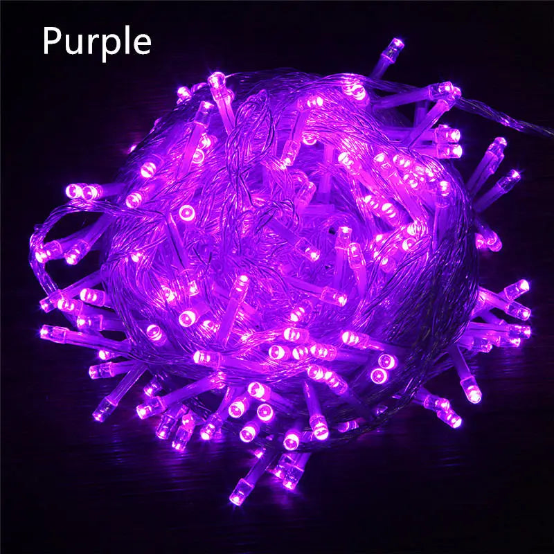 String Fairy Lights AC 220V EU Plug 10M 20M 30M 50M 100M LED Holiday Wedding Christmas Decoration Waterproof LED Garland