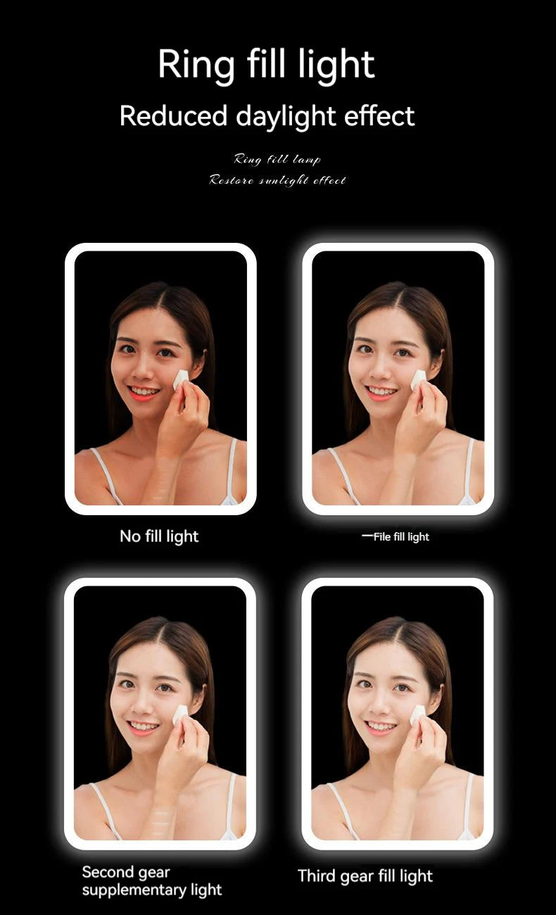 Pink Mini Portable 6L Personal Electric Cosmetics Beauty Fridge Freezer Skincare With Mirror LED Light