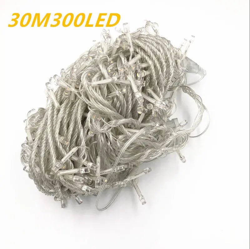 String Fairy Lights AC 220V EU Plug 10M 20M 30M 50M 100M LED Holiday Wedding Christmas Decoration Waterproof LED Garland