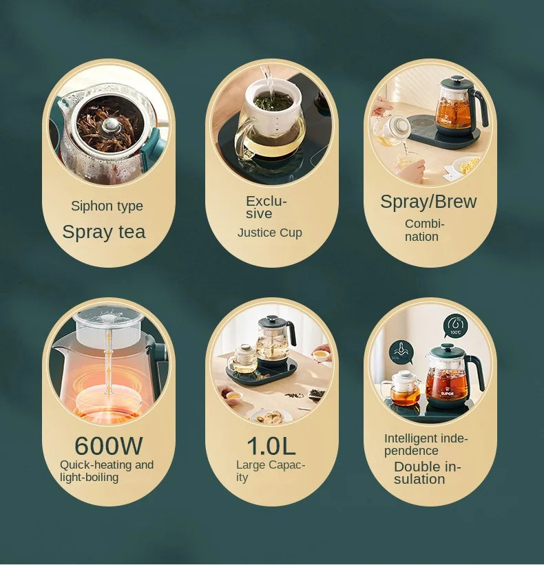 Electric Kettle 1L Black Tea Kettle with Steam Spray Function Health Tea Pot with Stainless Steel and 304 220V