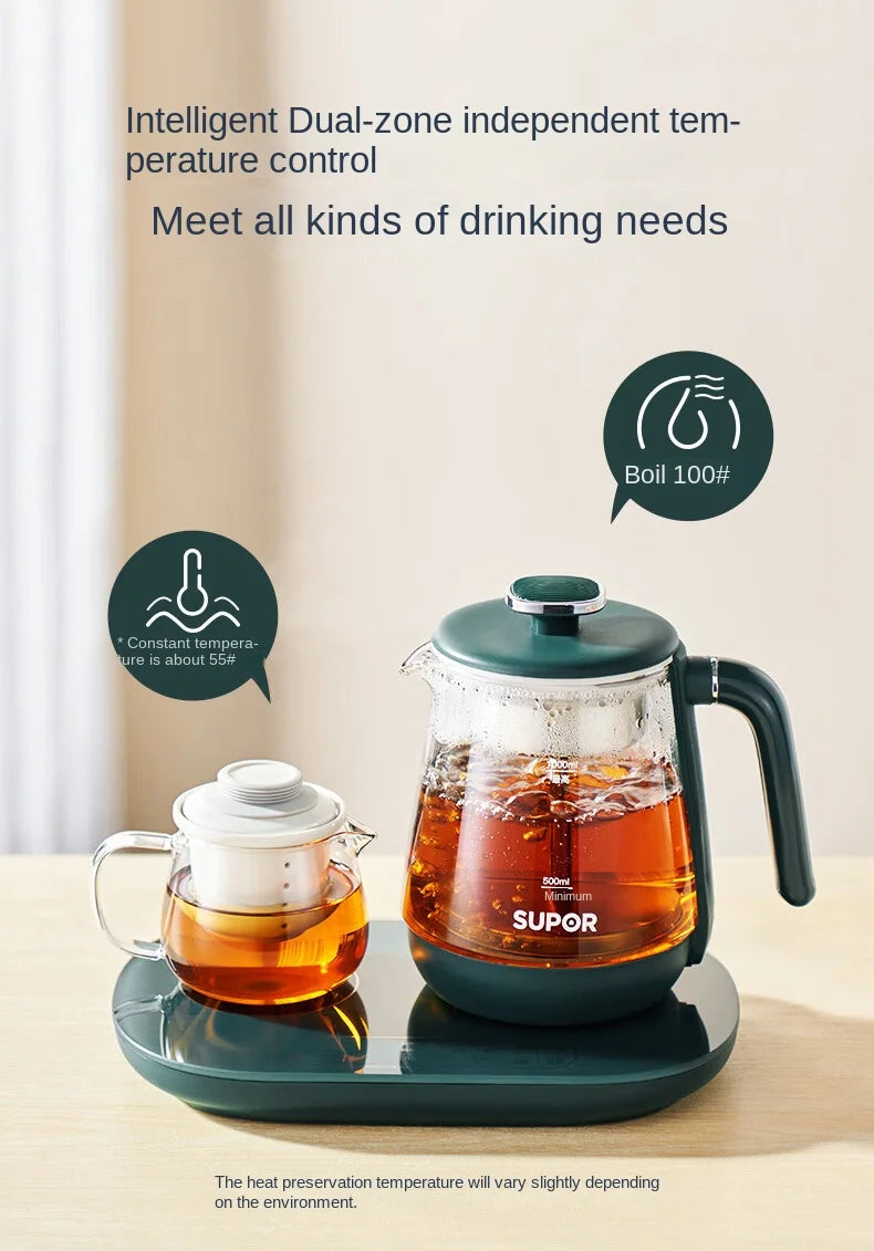 Electric Kettle 1L Black Tea Kettle with Steam Spray Function Health Tea Pot with Stainless Steel and 304 220V