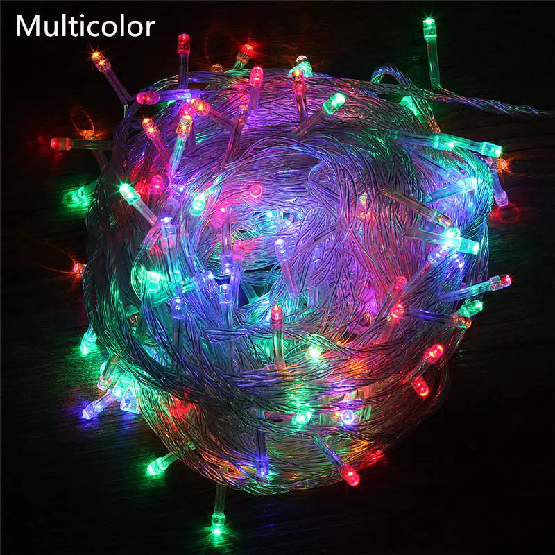 String Fairy Lights AC 220V EU Plug 10M 20M 30M 50M 100M LED Holiday Wedding Christmas Decoration Waterproof LED Garland