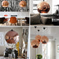 Wonderland LED Chandelier Ball Light Pendant Lamp Glass Ball Light Luster Modern Copper Sliver Shade Mirror Christmas