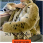 Feeling Grinchy Soft Faux Fur Coat