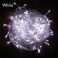 String Fairy Lights AC 220V EU Plug 10M 20M 30M 50M 100M LED Holiday Wedding Christmas Decoration Waterproof LED Garland