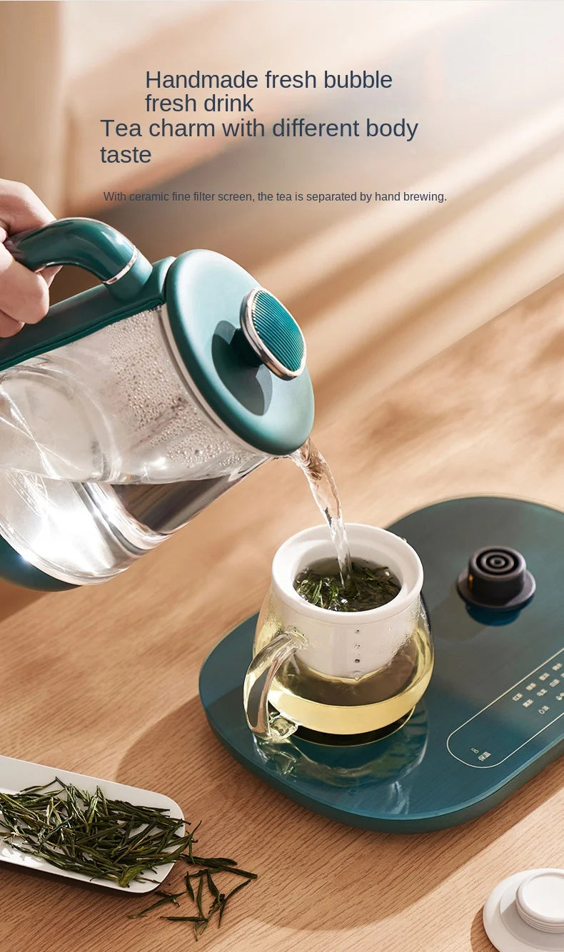Electric Kettle 1L Black Tea Kettle with Steam Spray Function Health Tea Pot with Stainless Steel and 304 220V