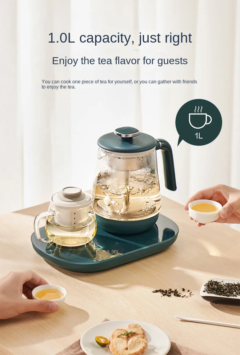 Electric Kettle 1L Black Tea Kettle with Steam Spray Function Health Tea Pot with Stainless Steel and 304 220V