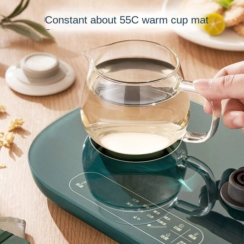 Electric Kettle 1L Black Tea Kettle with Steam Spray Function Health Tea Pot with Stainless Steel and 304 220V