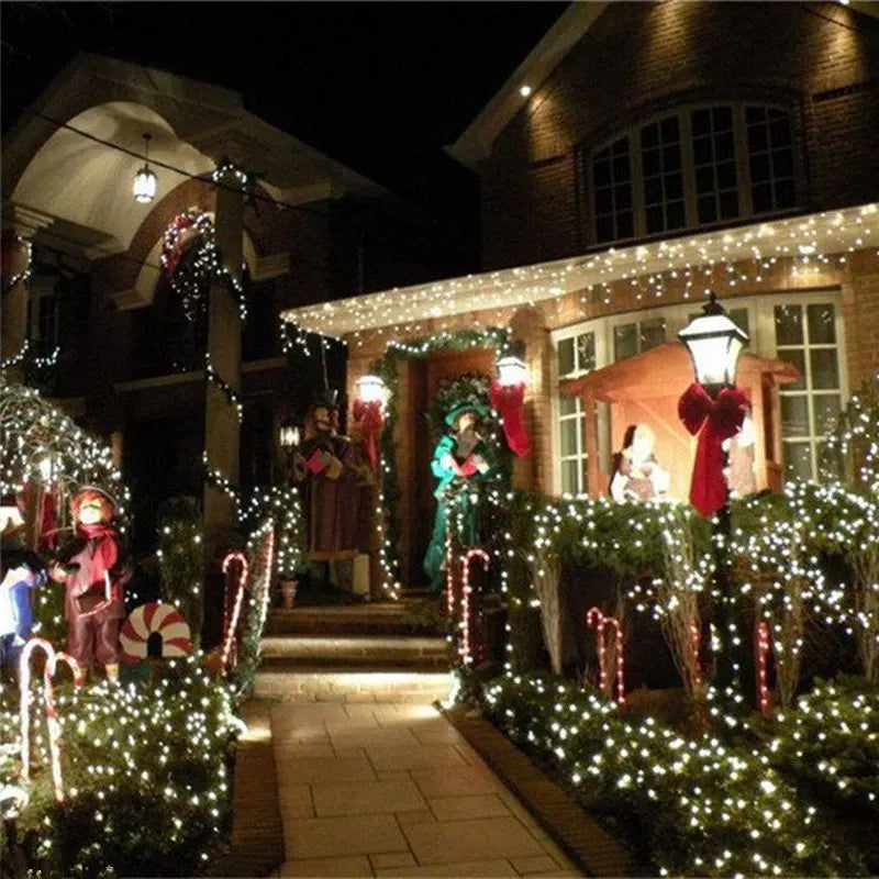 String Fairy Lights AC 220V EU Plug 10M 20M 30M 50M 100M LED Holiday Wedding Christmas Decoration Waterproof LED Garland