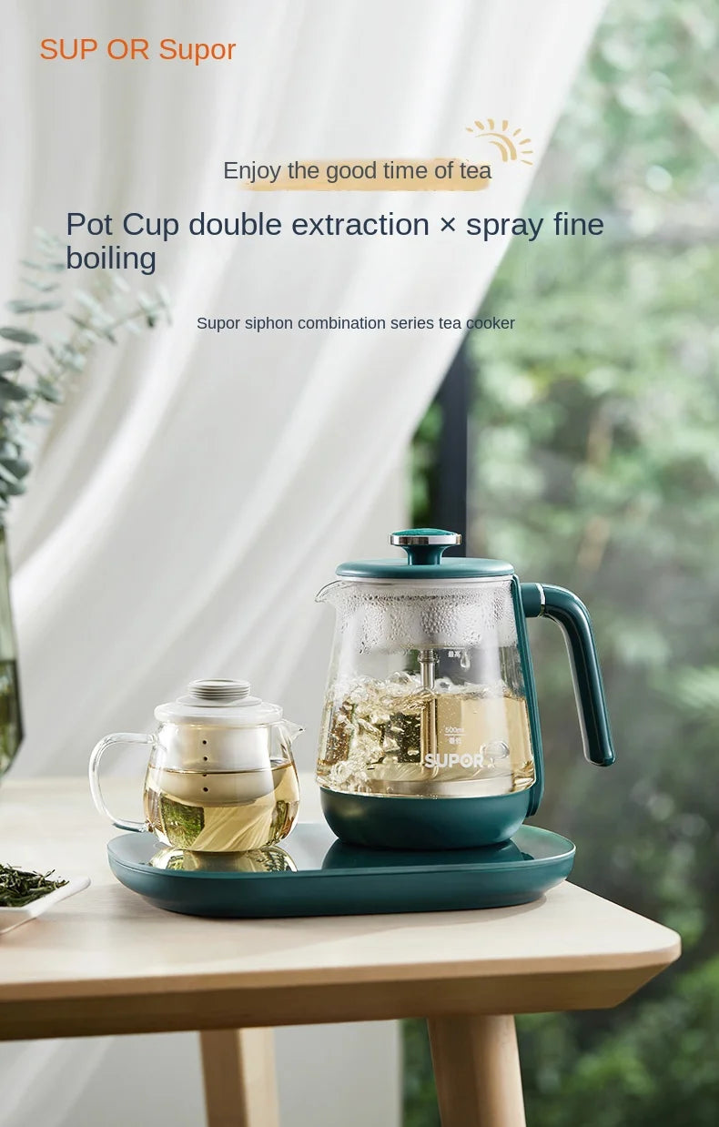 Electric Kettle 1L Black Tea Kettle with Steam Spray Function Health Tea Pot with Stainless Steel and 304 220V