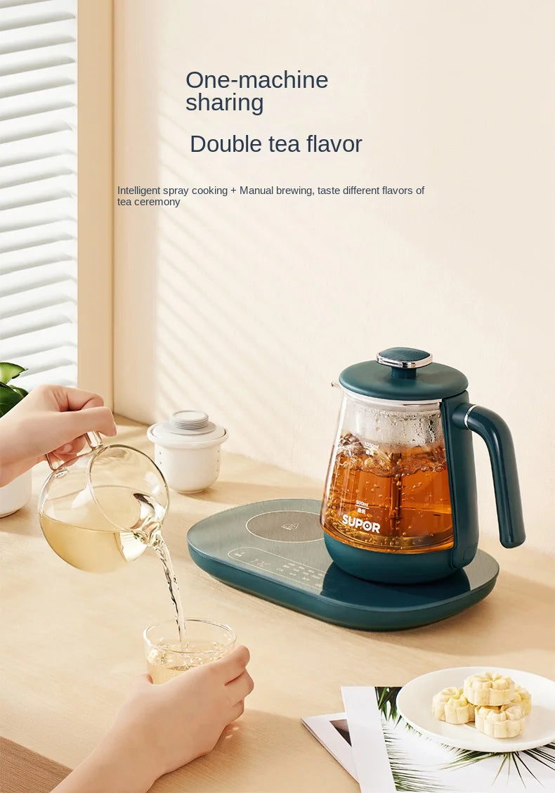 Electric Kettle 1L Black Tea Kettle with Steam Spray Function Health Tea Pot with Stainless Steel and 304 220V