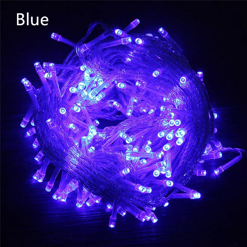 String Fairy Lights AC 220V EU Plug 10M 20M 30M 50M 100M LED Holiday Wedding Christmas Decoration Waterproof LED Garland