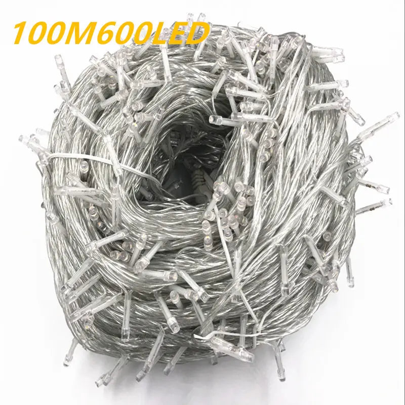String Fairy Lights AC 220V EU Plug 10M 20M 30M 50M 100M LED Holiday Wedding Christmas Decoration Waterproof LED Garland
