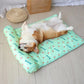 Summer Pet Cooling Mat Ice Silk Mat With Pillow Cushion Cat Dog Breathable Pad Sofa For Small Medium Dogs Cool Sleep Mats