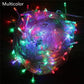 String Fairy Lights AC 220V EU Plug 10M 20M 30M 50M 100M LED Holiday Wedding Christmas Decoration Waterproof LED Garland