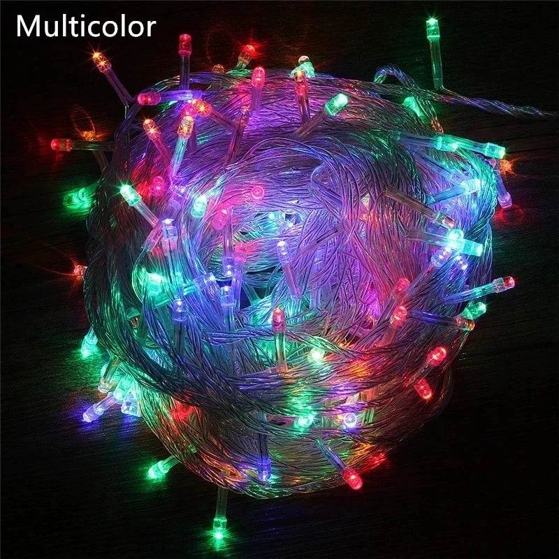 String Fairy Lights AC 220V EU Plug 10M 20M 30M 50M 100M LED Holiday Wedding Christmas Decoration Waterproof LED Garland
