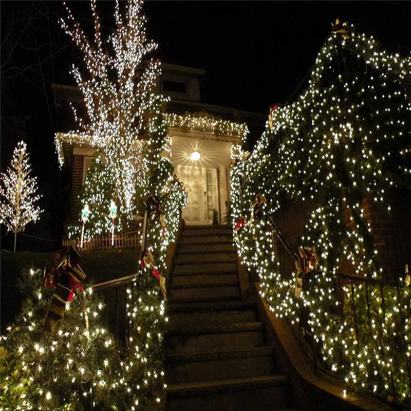 String Fairy Lights AC 220V EU Plug 10M 20M 30M 50M 100M LED Holiday Wedding Christmas Decoration Waterproof LED Garland