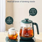 Electric Kettle 1L Black Tea Kettle with Steam Spray Function Health Tea Pot with Stainless Steel and 304 220V