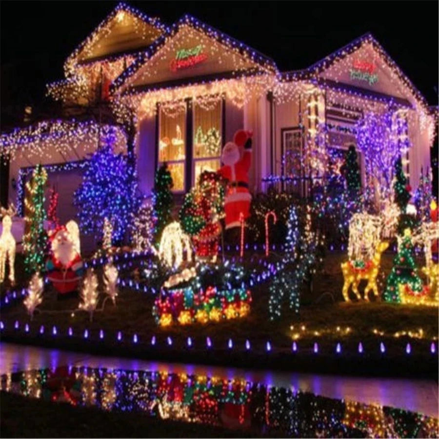 String Fairy Lights AC 220V EU Plug 10M 20M 30M 50M 100M LED Holiday Wedding Christmas Decoration Waterproof LED Garland