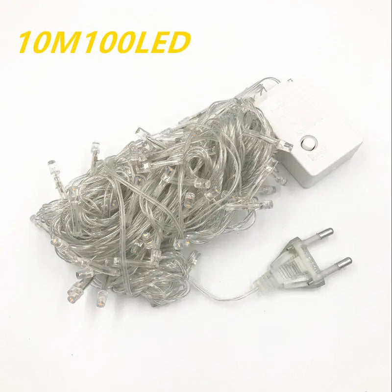 String Fairy Lights AC 220V EU Plug 10M 20M 30M 50M 100M LED Holiday Wedding Christmas Decoration Waterproof LED Garland