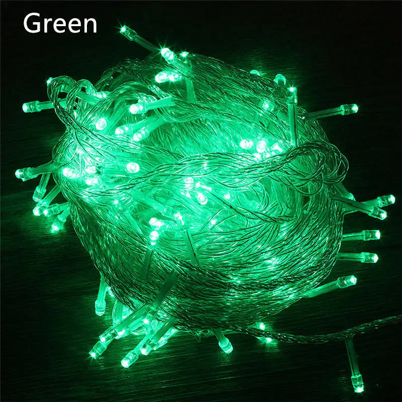 String Fairy Lights AC 220V EU Plug 10M 20M 30M 50M 100M LED Holiday Wedding Christmas Decoration Waterproof LED Garland