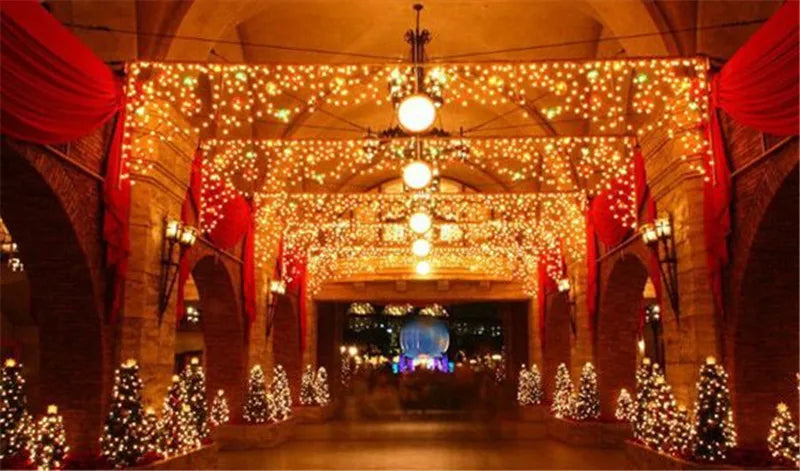 String Fairy Lights AC 220V EU Plug 10M 20M 30M 50M 100M LED Holiday Wedding Christmas Decoration Waterproof LED Garland