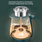 Electric Kettle 1L Black Tea Kettle with Steam Spray Function Health Tea Pot with Stainless Steel and 304 220V