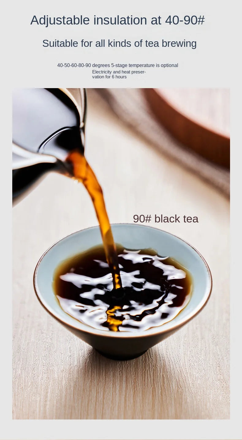 Electric Kettle 1L Black Tea Kettle with Steam Spray Function Health Tea Pot with Stainless Steel and 304 220V