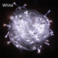String Fairy Lights AC 220V EU Plug 10M 20M 30M 50M 100M LED Holiday Wedding Christmas Decoration Waterproof LED Garland