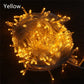 String Fairy Lights AC 220V EU Plug 10M 20M 30M 50M 100M LED Holiday Wedding Christmas Decoration Waterproof LED Garland